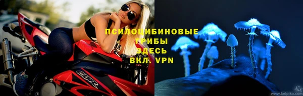 амф Абдулино