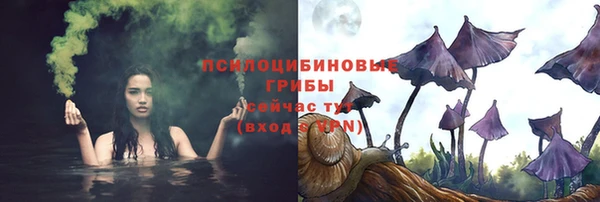 прущие крисы Алзамай