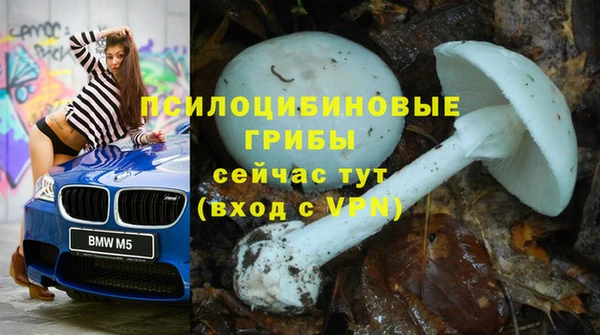 прущий лед Абаза