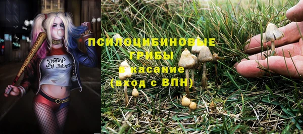 МДПВ Остров