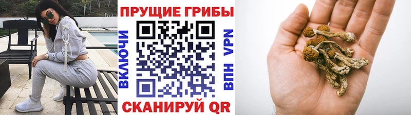 Галлюциногенные грибы Magic Shrooms Калач